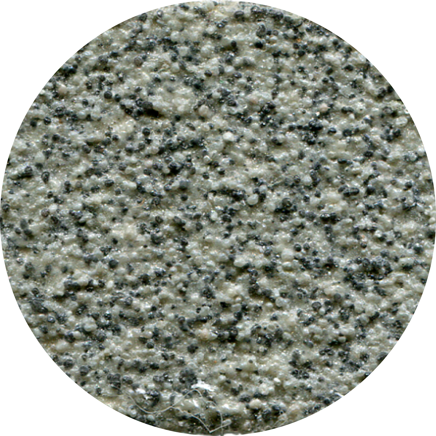 Grey Coal